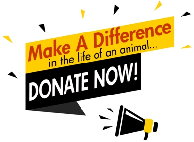 Make a Difference-DonateNow