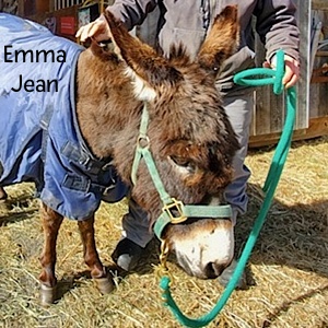 BB-EmmaJean