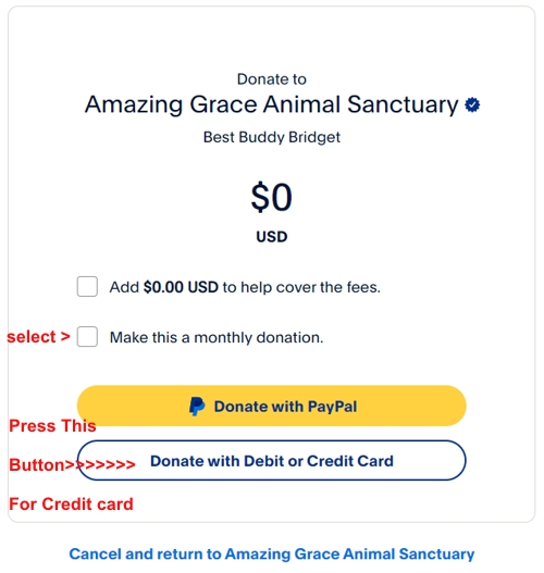 BB-First-Paypal-Screen