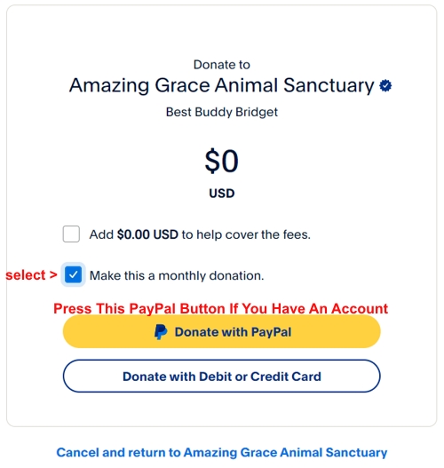 BB-MO-PMT-With-Paypal-Account
