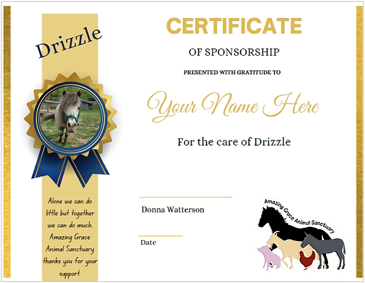 SponsorshipCertificate-New