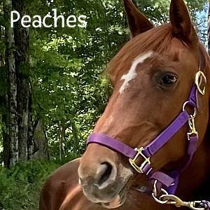 BBPeaches-2