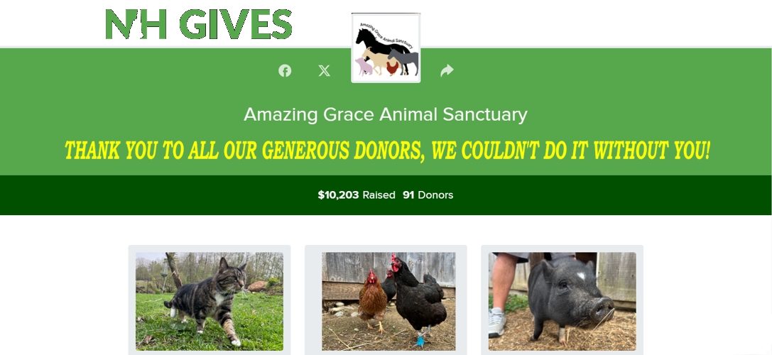 NHGivesResults New Hampshire Gives fundraiser results. $10,203